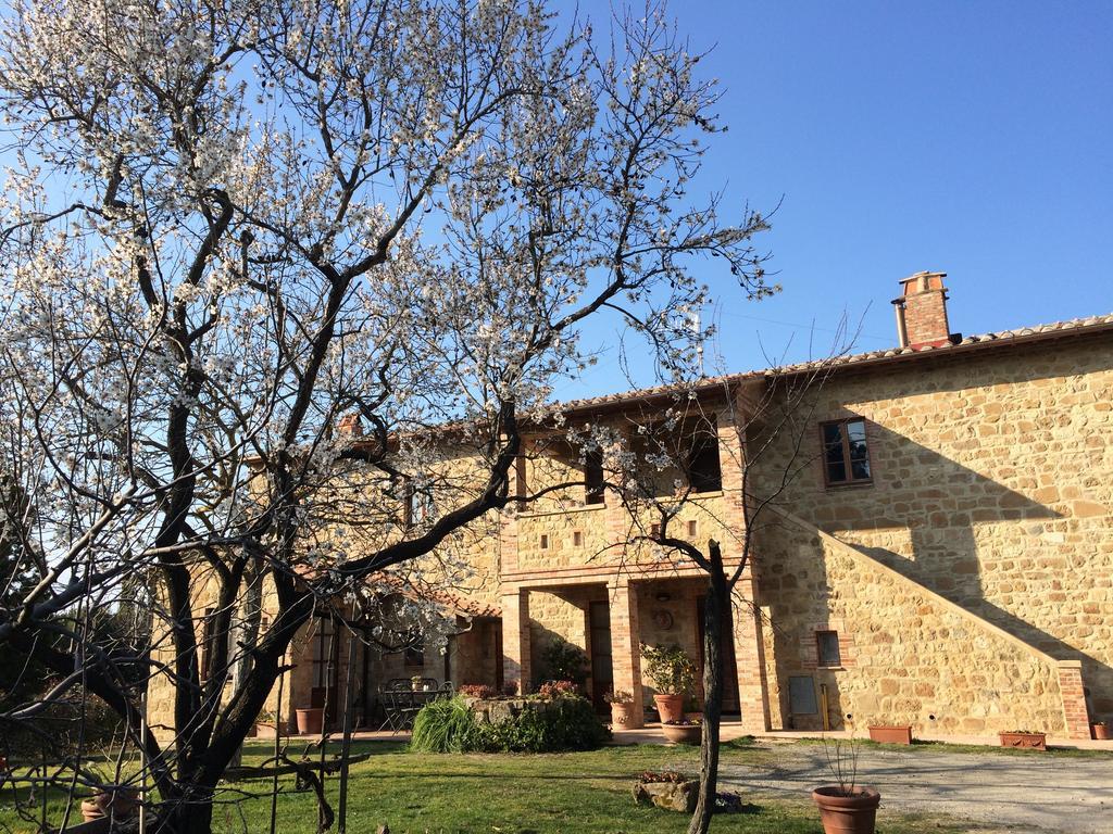 Agriturismo Podere San Gregorio Pienza Luaran gambar