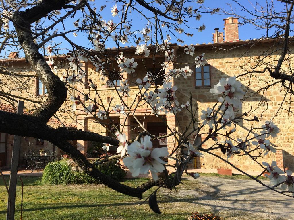 Agriturismo Podere San Gregorio Pienza Luaran gambar